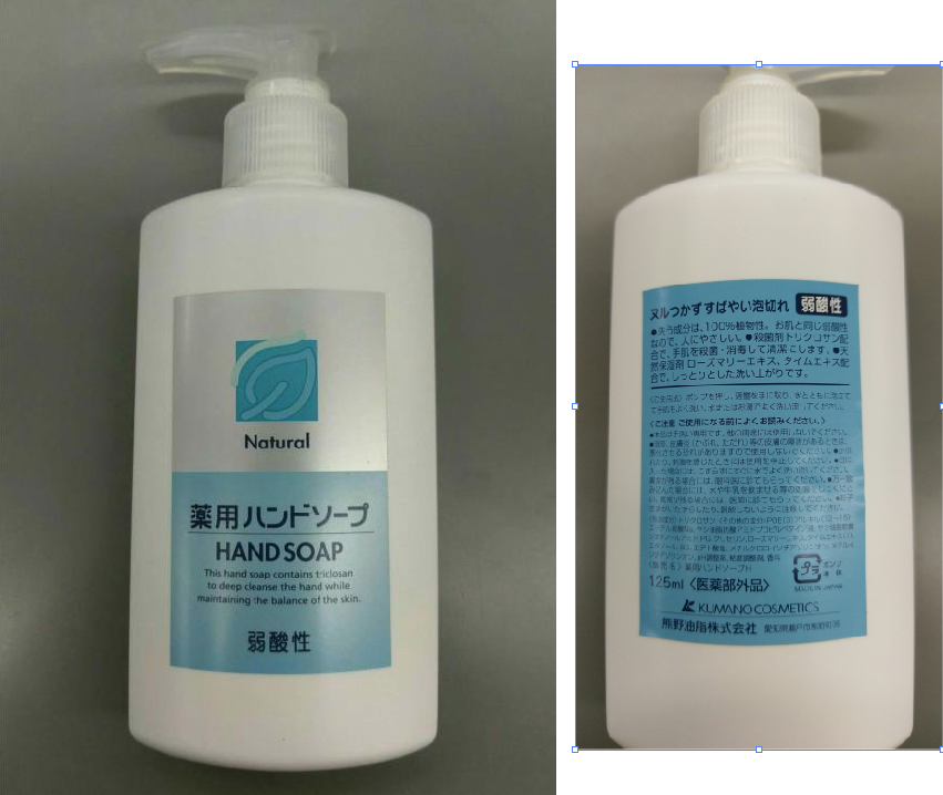 専門店 10kg 31730 BIB 洗浄除菌剤 除菌イチバン サラヤ 日用消耗